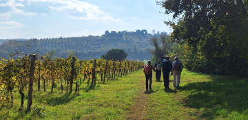 TAPPA 2R:  FORLì - BERTINORO